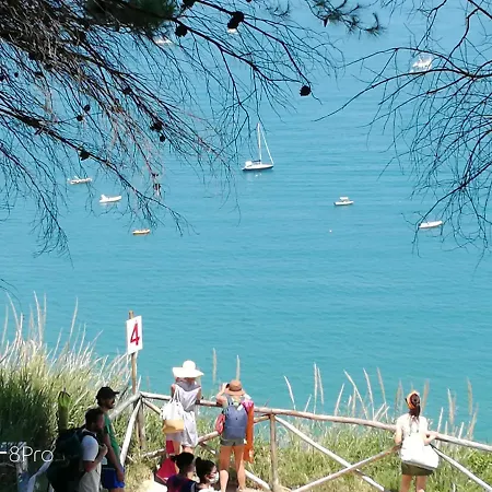 Pensionat Casa Viorica 2 3*