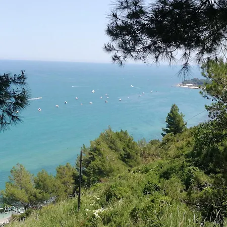 Casa Viorica 2 3* Ancona