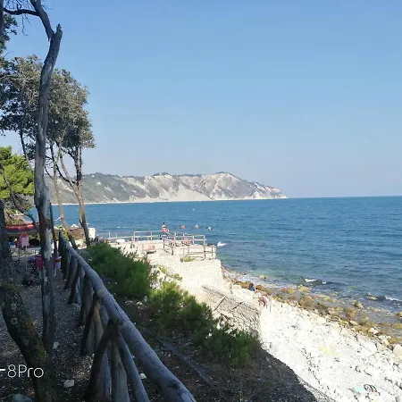 Pensión Casa Viorica 2