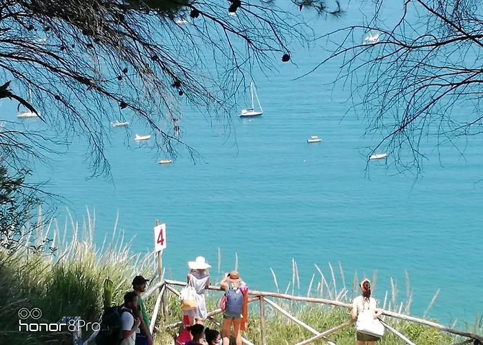 Pensionat Casa Viorica 2 3*