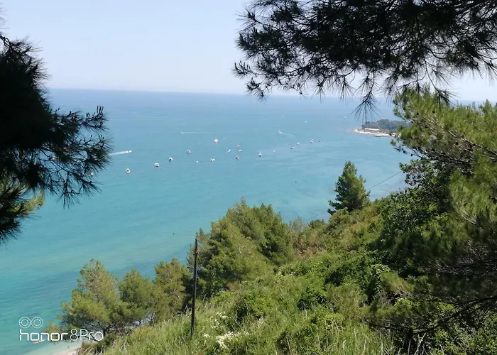 Casa Viorica 2 3* Ancona