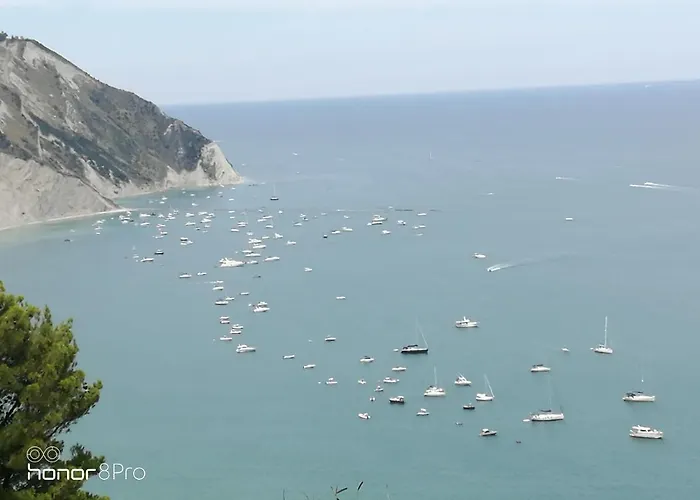 Casa Viorica 2 Pensionat Ancona