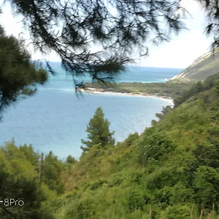 Casa Viorica 2 Guest house